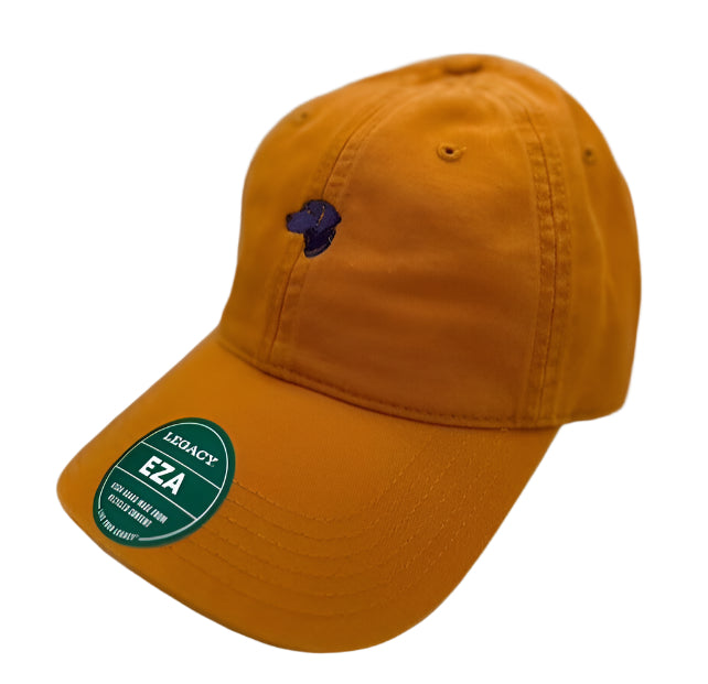 R & B Game Day Logo Hat (Gold/Purple)