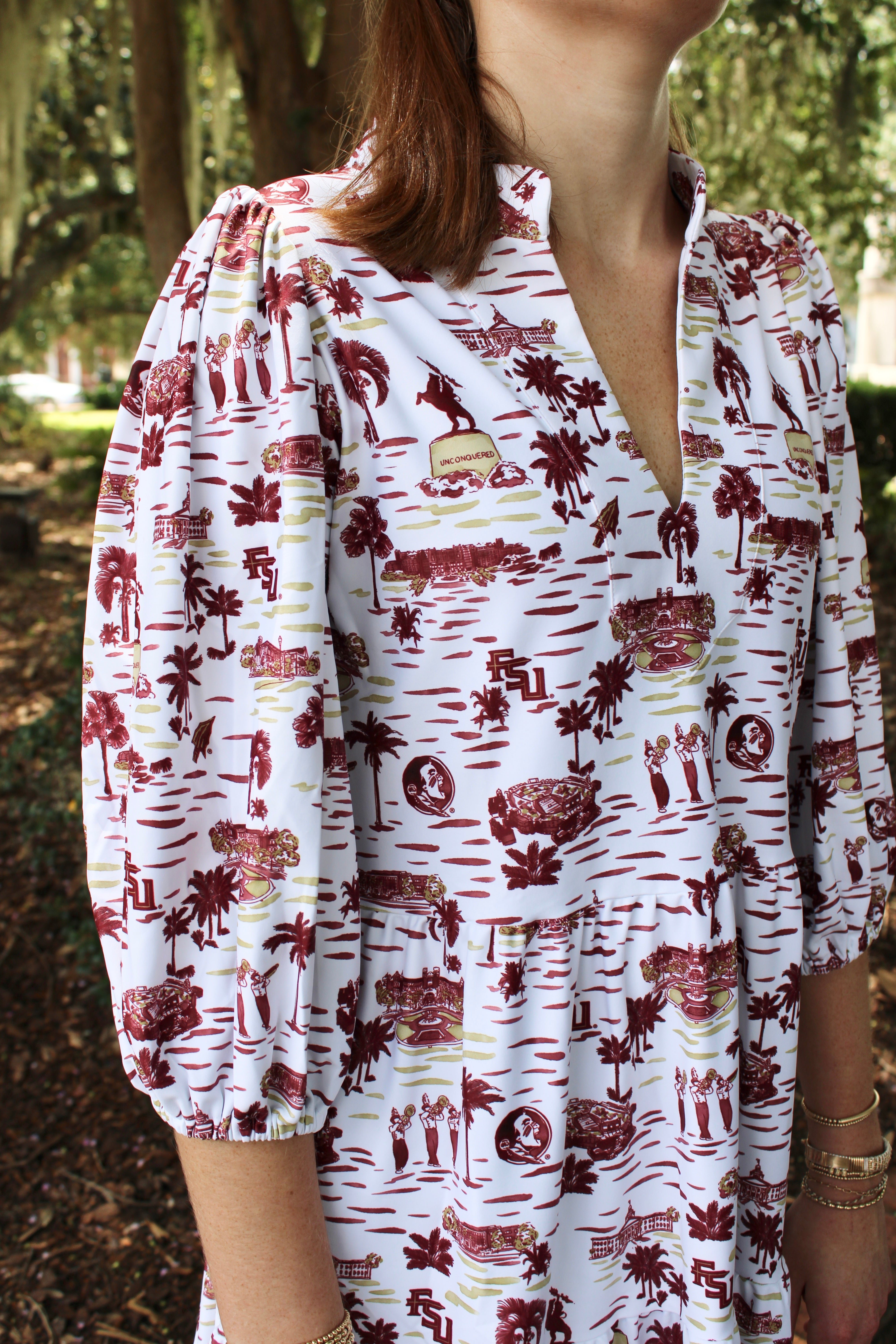 Smith & Quinn - Tory Dress (Florida State Toile)