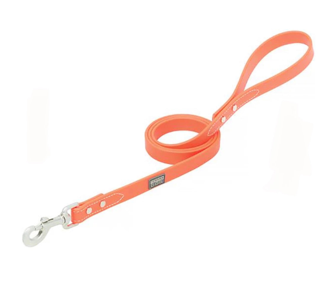 X-Treme Adventure Dog Leash - Orange