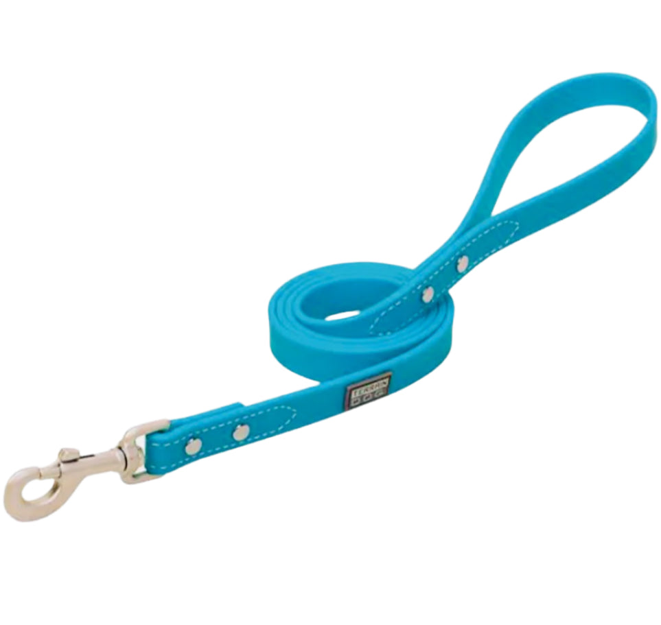 X-Treme Adventure Dog Leash - Hurricane Blue