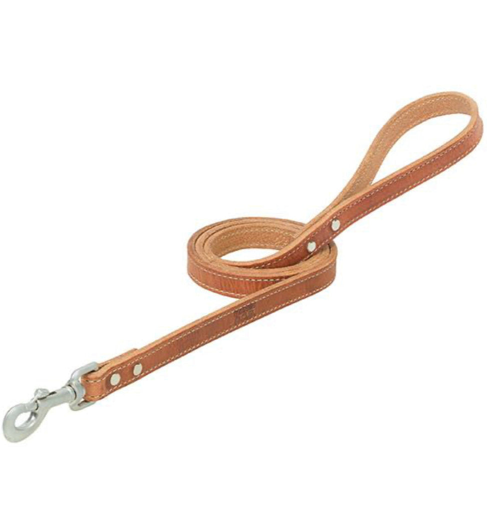 Bridle Leather Dog Leash