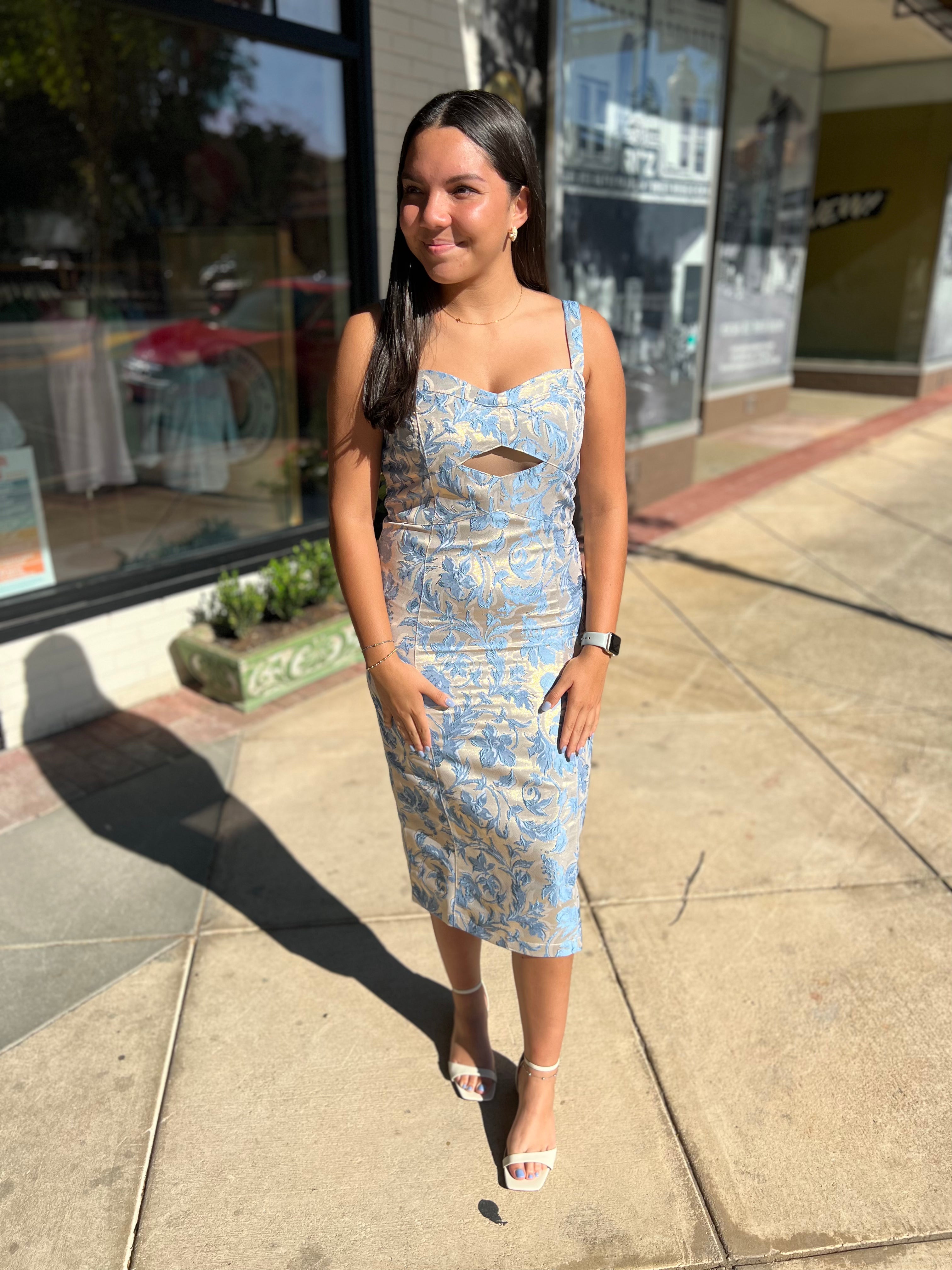 The Elise Dress *Final Sale*