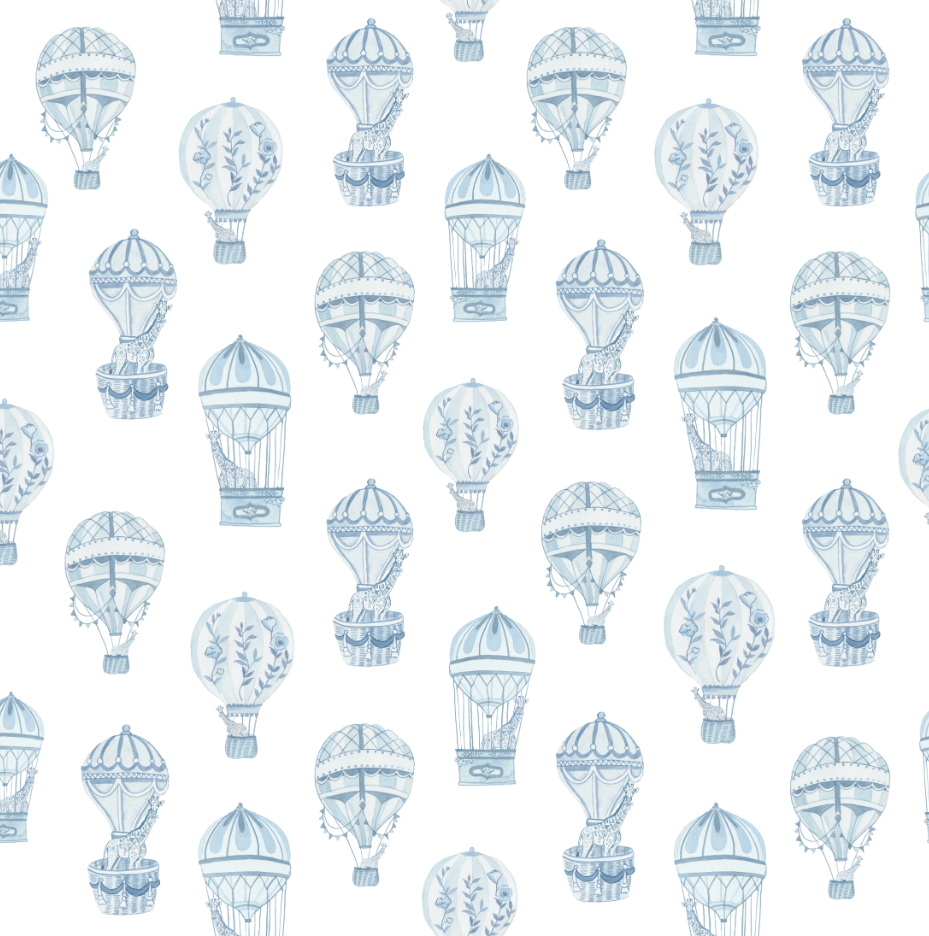 Baby Dunn - Smocked Bubble (Little Explorer Blue)