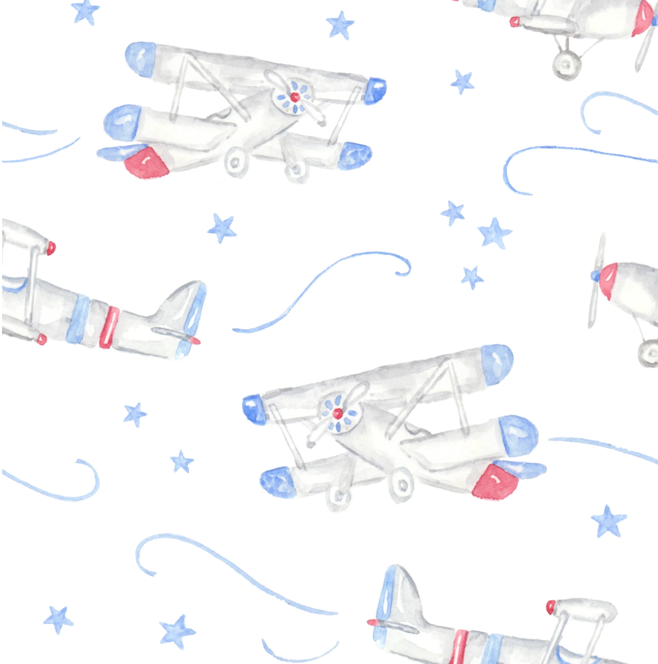 Baby Dunn Converter Gown (Little Aviators)