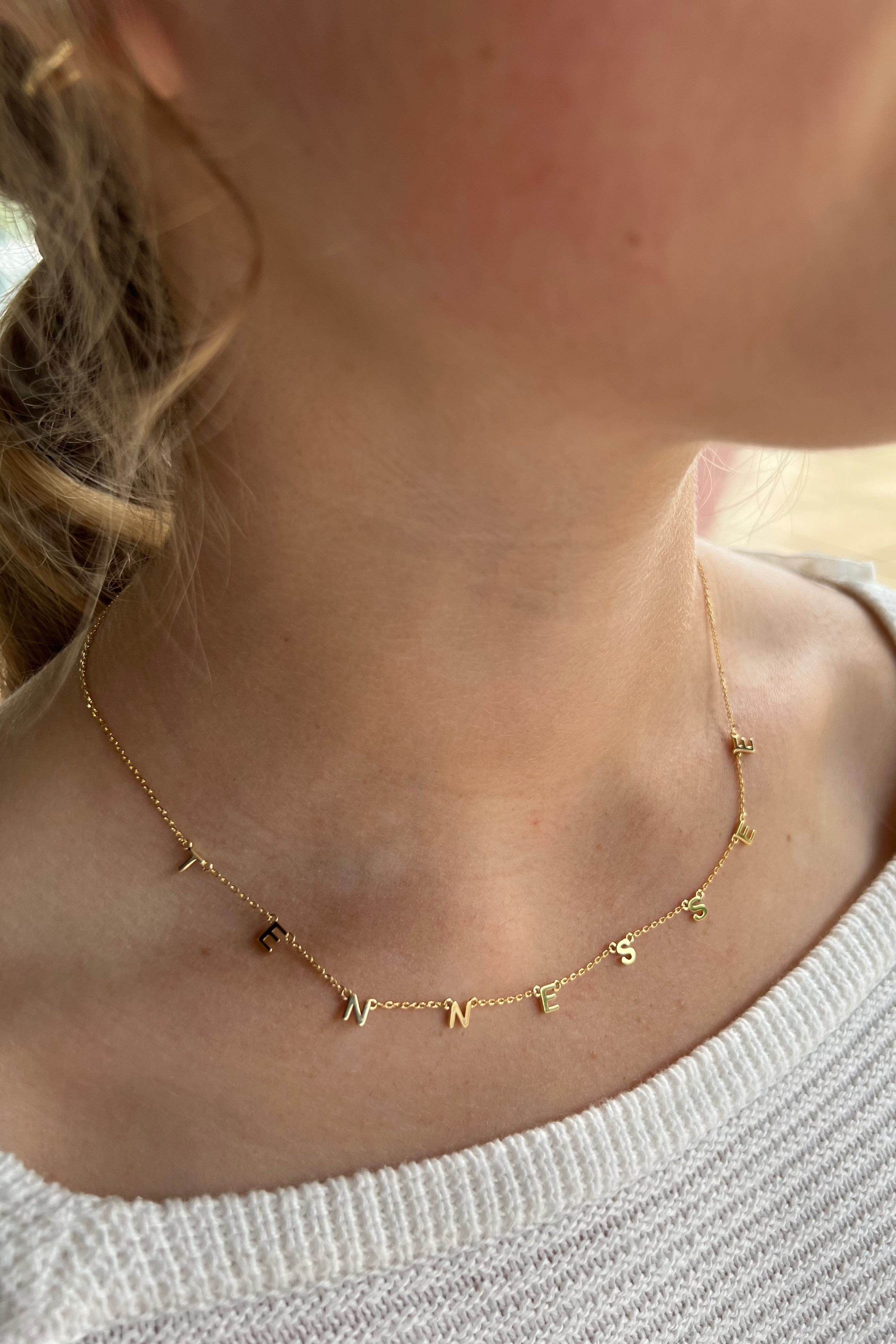 The State Necklace