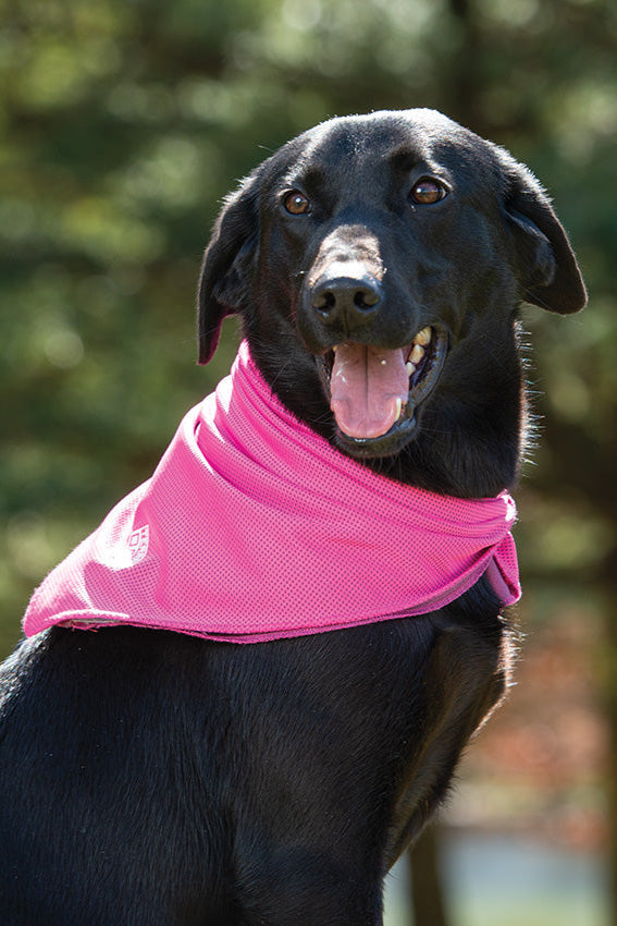 Cooling Bandana in Pink - 12x12"