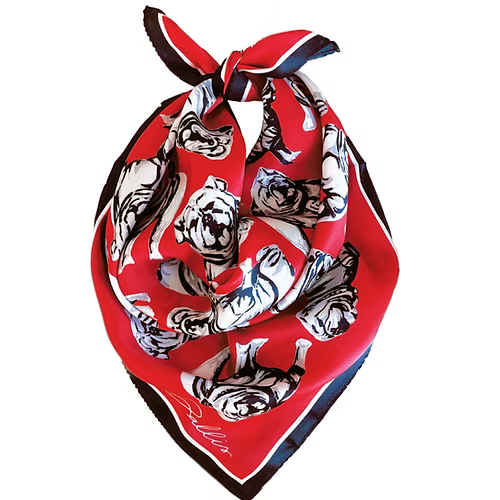 Dallis Foshee - UGA Scarf (Red)
