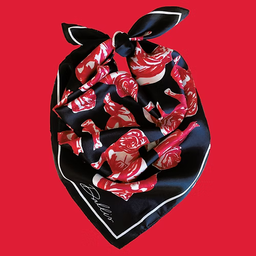 Dallis Foshee - UGA Scarf (Black)