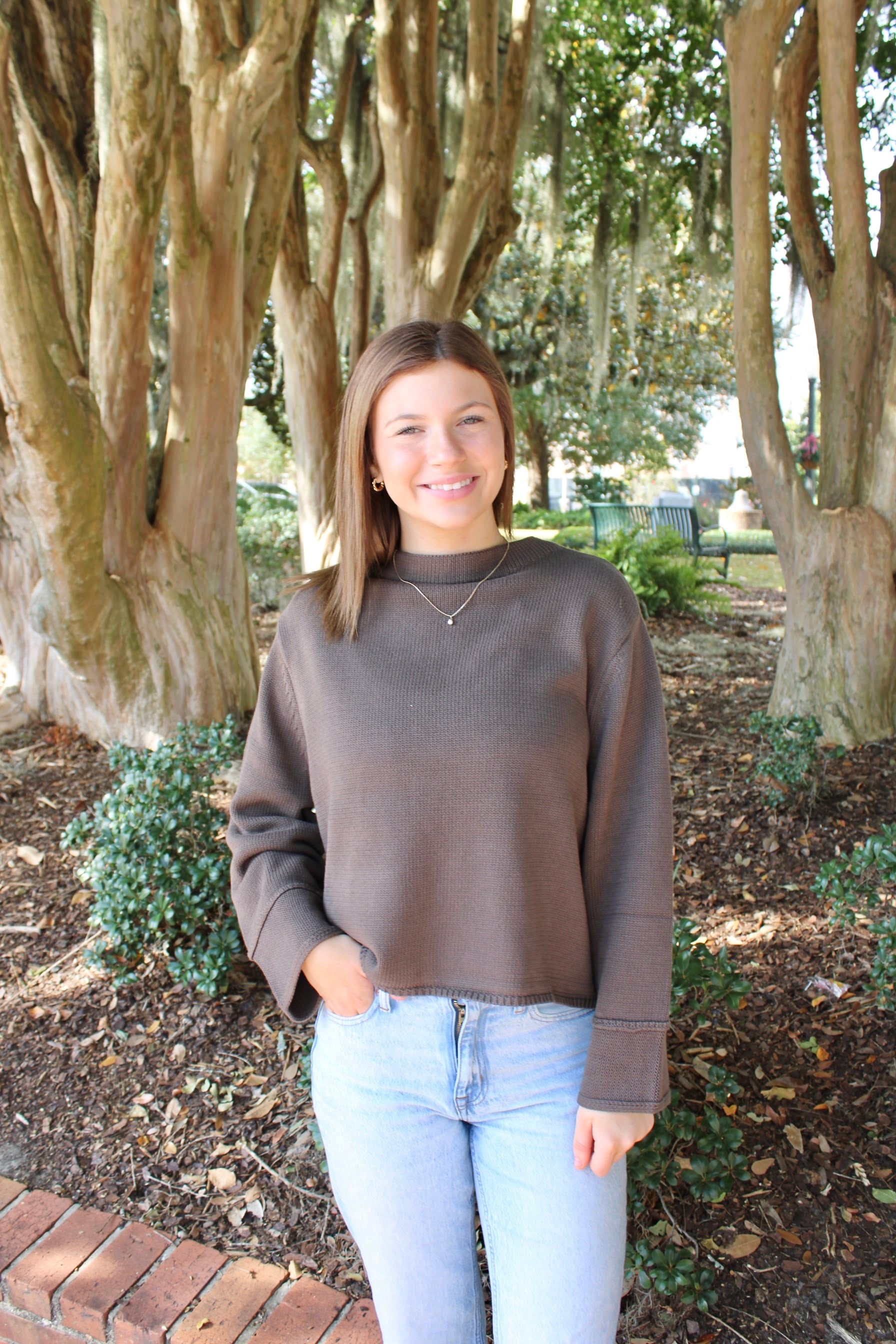 Isabella Top (Brown)