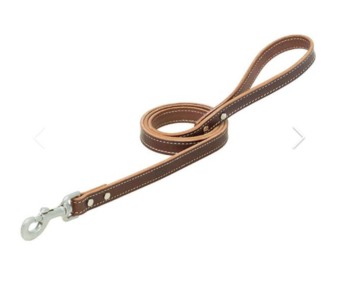 Bridle Buttered Leather Dog Leash -Brown