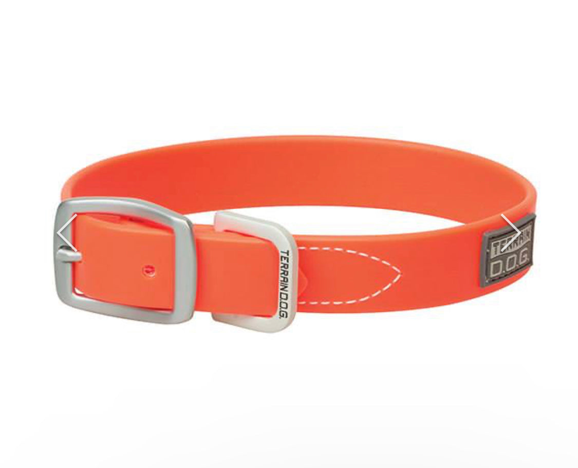 X-Treme Adventure Dog Collar -Orange