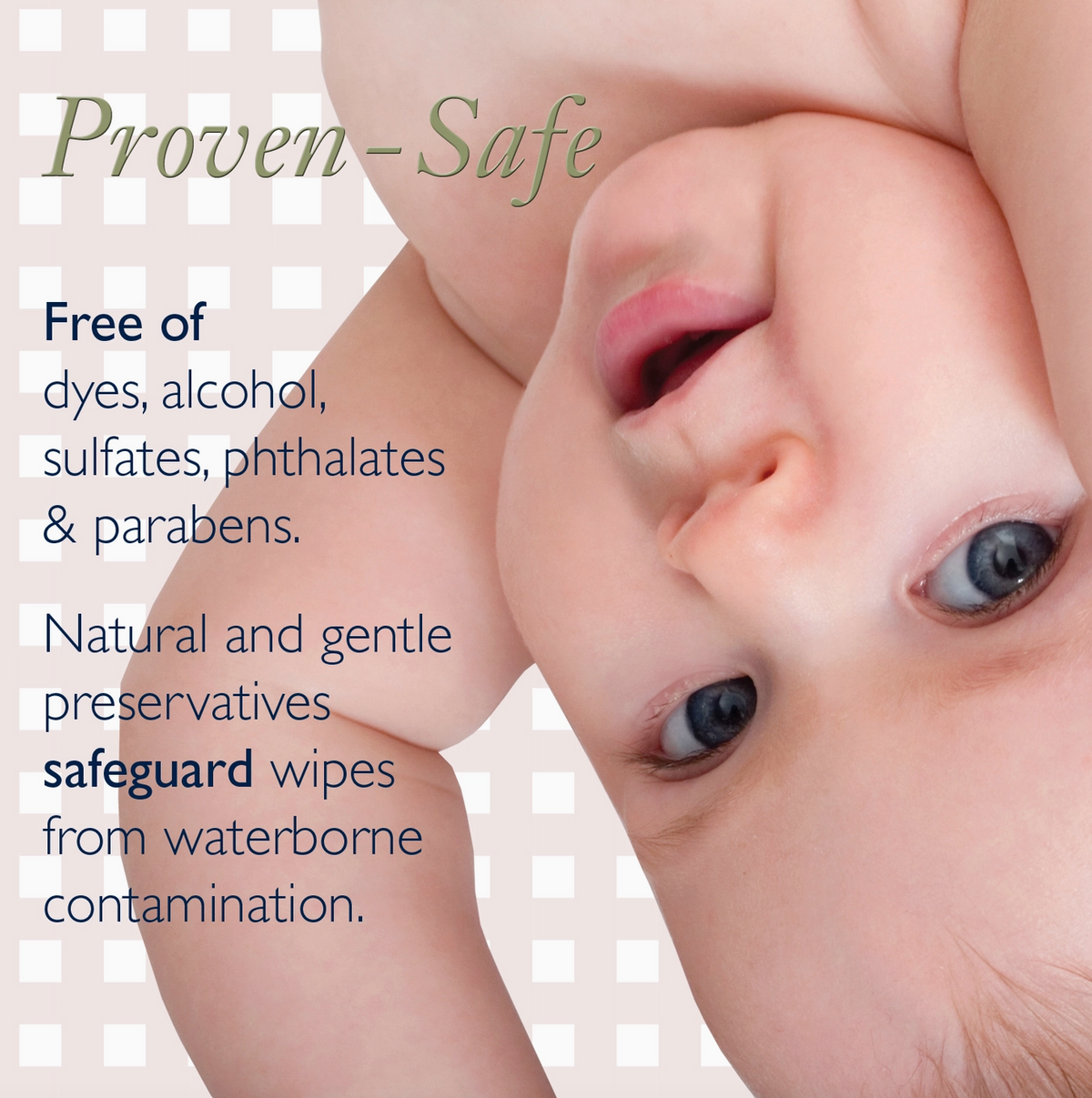 'Proven-Safe' and additional copy about being free of dyes, alcohol, sulfates, phthalates & parabens, and about natural gentle preservatives safeguard wipes from waterborne contamination.